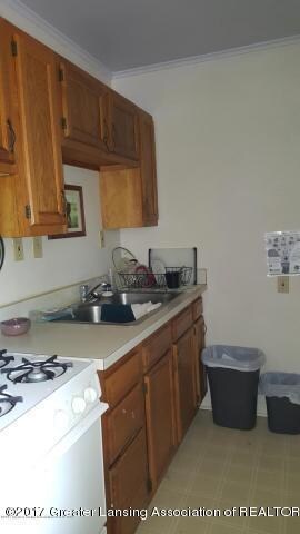 819 N Chestnut St, Lansing, MI 48906 - photo 6