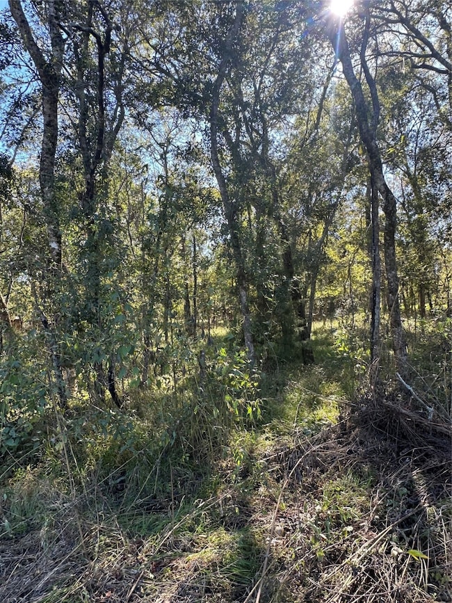 00 Oak Forest Dr, Guy, TX 77444 - photo 4