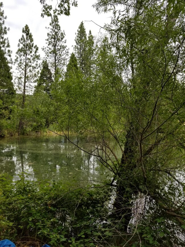 20180713_134059