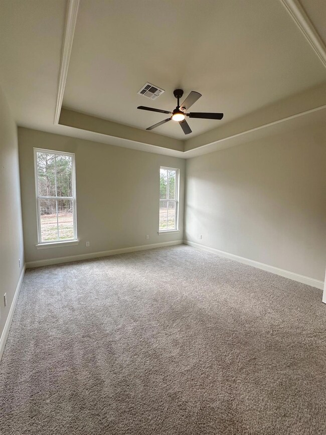 Carpeted spare room with a raised ceiling and ceil