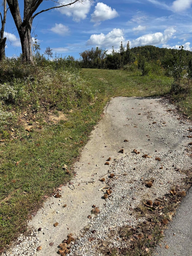 47 Old Farm Rd, Cannon, KY 40923 - photo 3