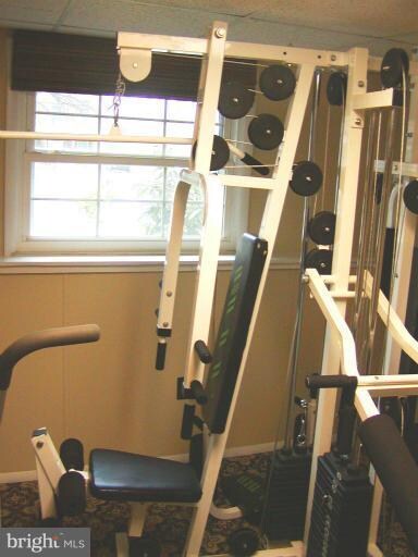 6110 Mantle Rd, Burke, VA 22015 - photo 7