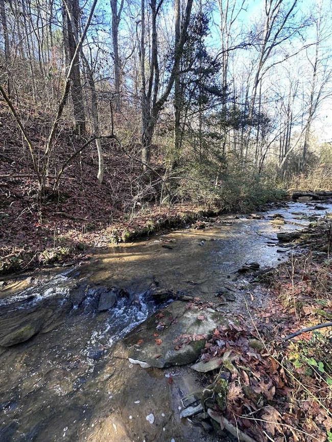 94 Springfield Pkwy, Ellijay, GA 30540 - photo 6