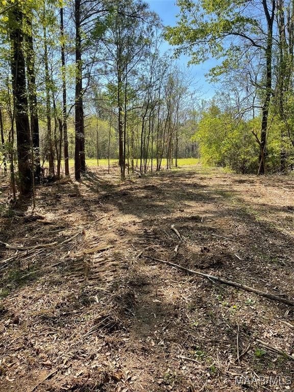 115 Cahaba View Dr, Selma, AL 36702 - photo 7