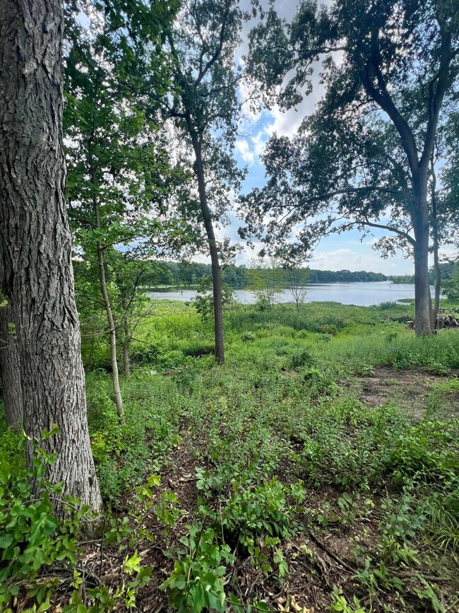 IMG_3707 - River 17915 Bluff