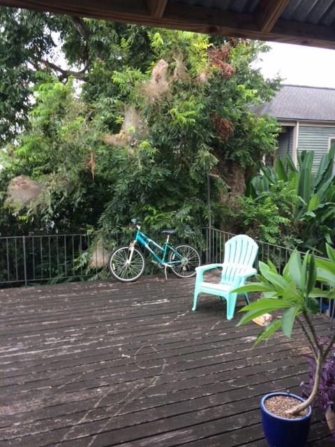 1015 Bellecastle St unit 1/2, New Orleans, LA 70115 - photo 7