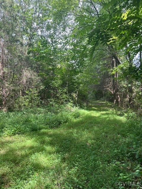 View of woods