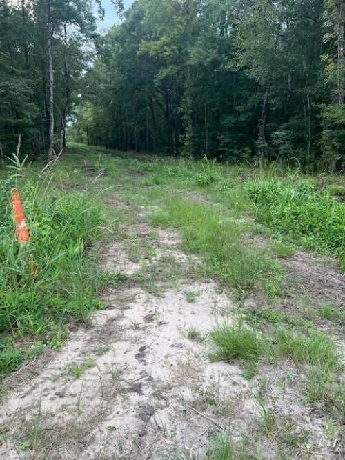 6572 N Highway 17, Awendaw, SC 29429 - photo 5