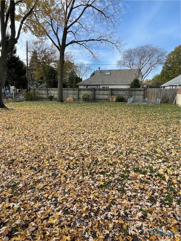 Back yard