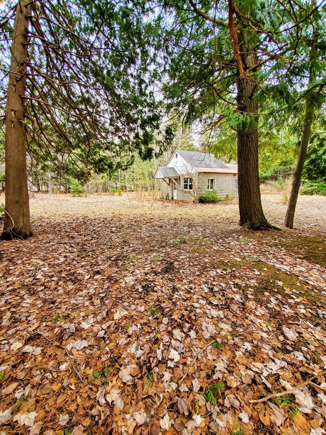 cabin