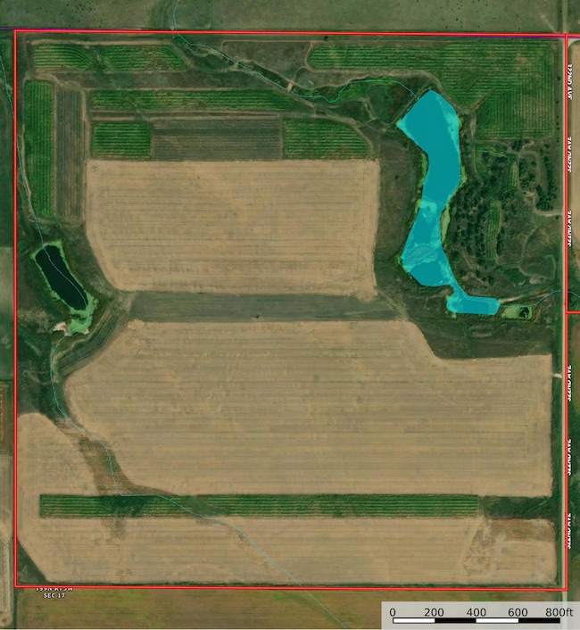 Plainview Tract 2 160 aerial