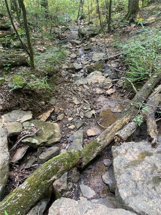 10AC Wild Turkey Rd, Winslow, AR 72959 - photo 4