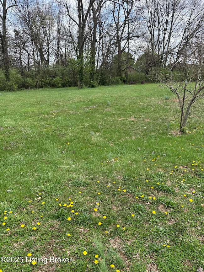 926 Woods Run Rd, Bardstown, KY 40004 - photo 5