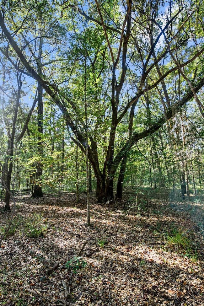 HFL_PLOW GROUND RD_30 ACRES-4