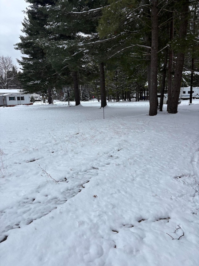 2472 Fawn Ct, Richfield Township, MI 48656 - photo 4