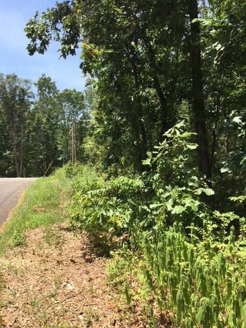 Lot 1 Block 10 Sherlock Dr Fryer Ln, Bella Vista, AR 72715 - photo 2