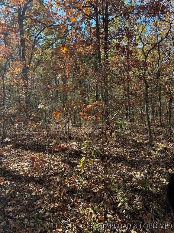 10.4 ac State Highway T, Stover, MO 65078 - photo 6