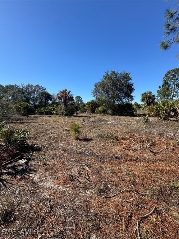 View of landscape featuring a rural view