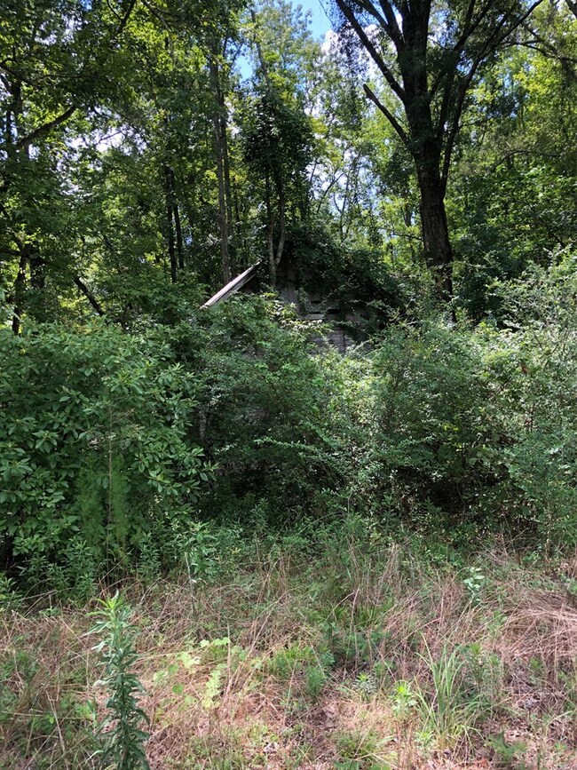 000 Hilton Memory Rd, Vidalia, GA 30474 - photo 3