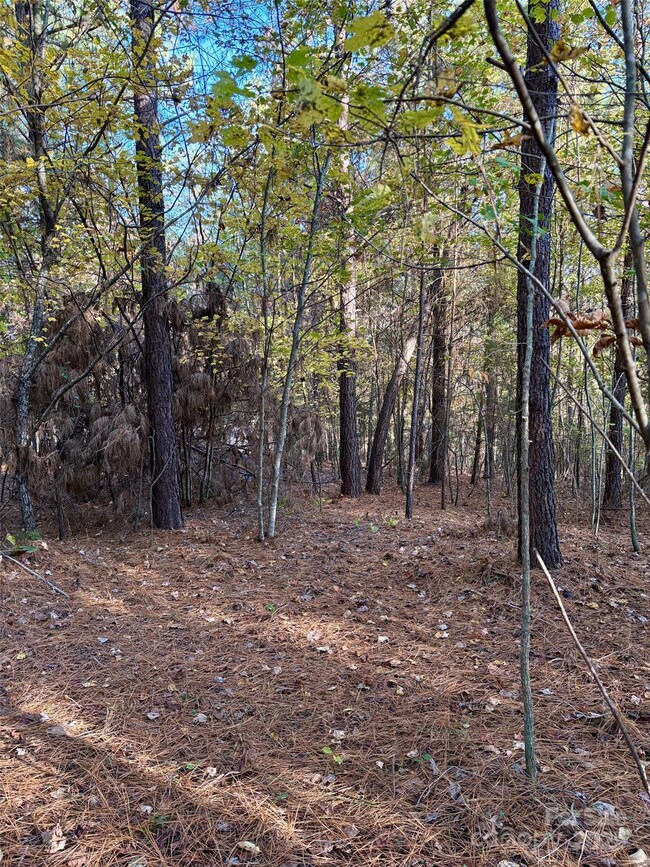 0 Cross Creek Dr unit 261 CAR4231323, Rutherfordton, NC 28139 - photo 3