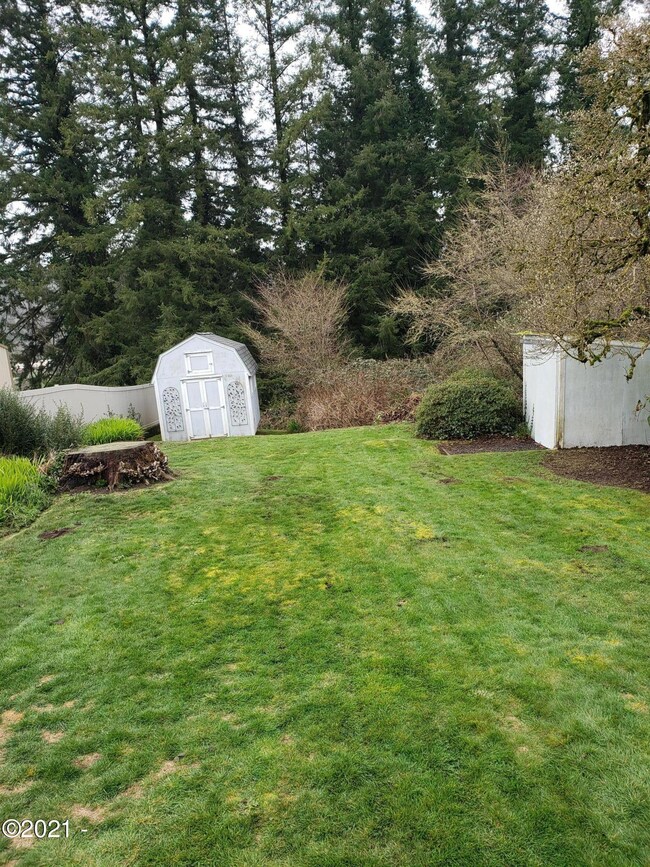 Backyard