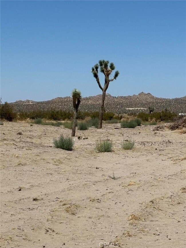 0 E Cor 110th Ste Pav Ave Q Ste St unit SR25050266, Littlerock, CA 90034 - photo 4