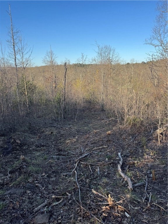 Tract 1 Nc 8374 Rd, Jasper, AR 72641 - photo 7