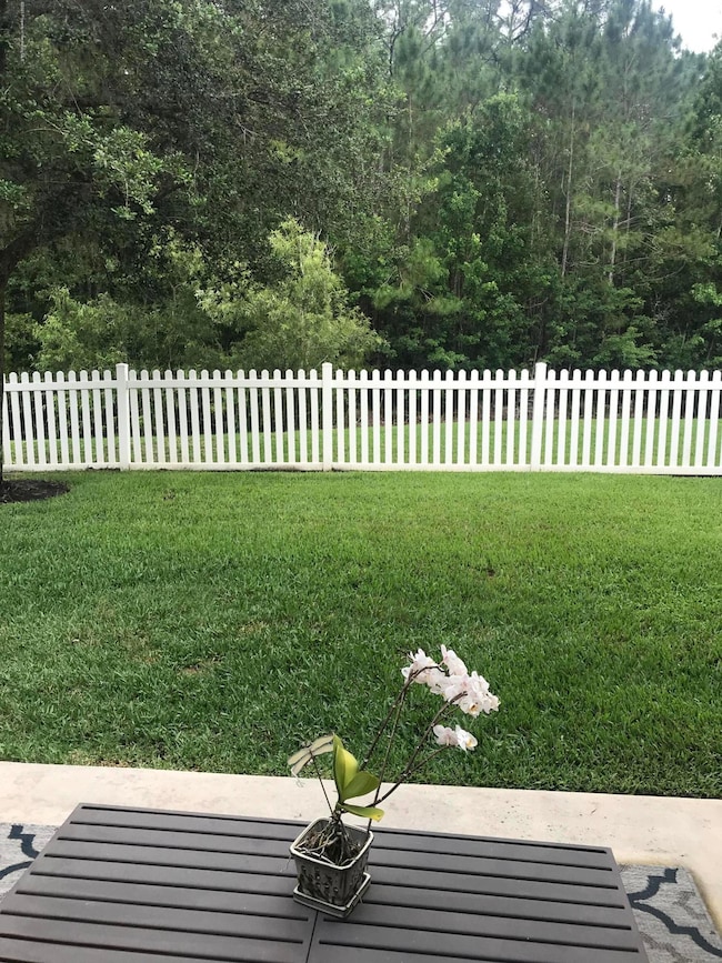 Backyard 2