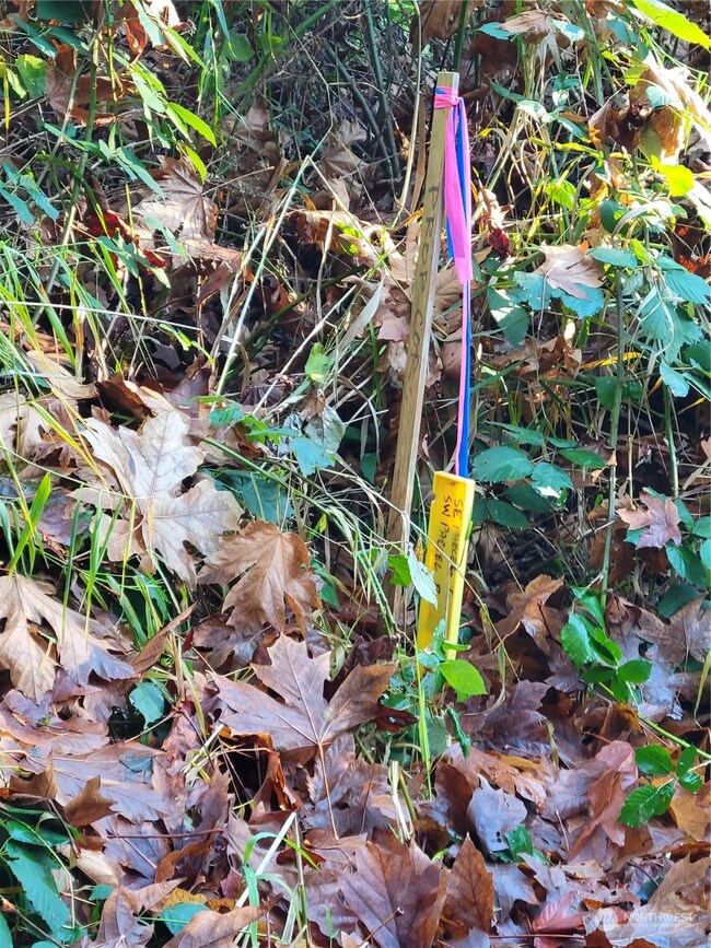 5376 Reese Hill Rd, Sumas, WA 98295 - photo 6