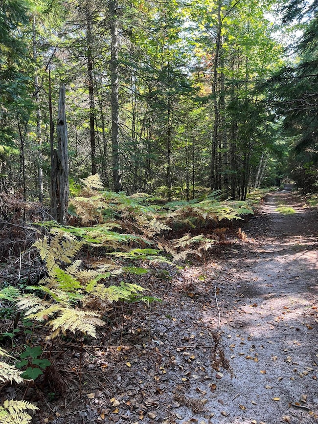 000 S Hendrie River Rd, Hulbert Township, MI 49748 - photo 4