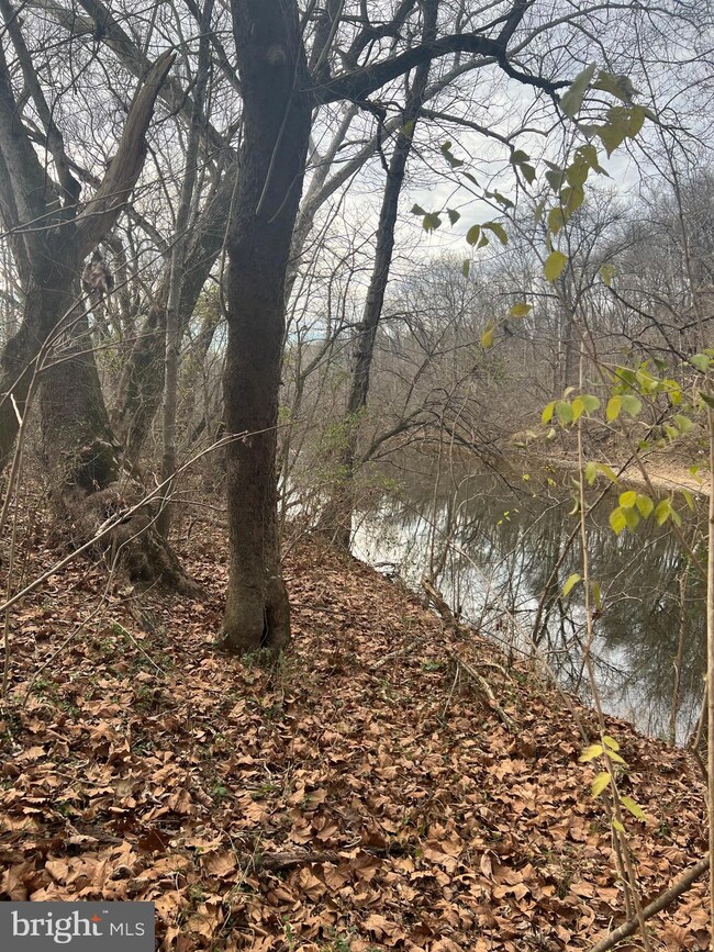 0 Palmyra Church Rd unit VASH2004984, Edinburg, VA 22824 - photo 5