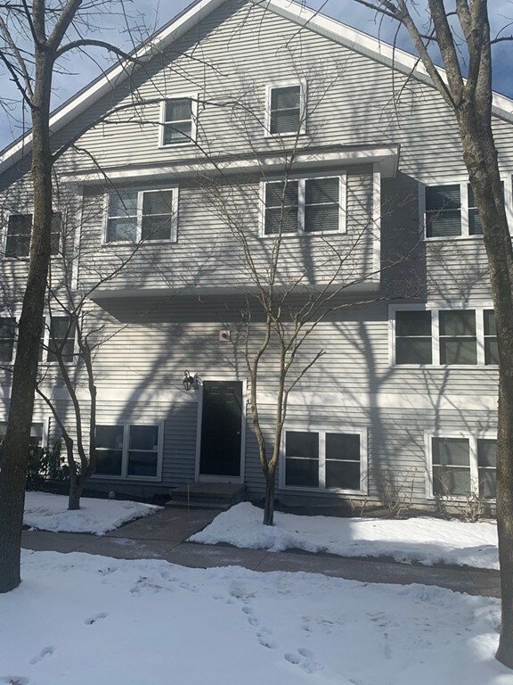 41 Harrison St unit C, Roslindale, MA 02131 - photo 2