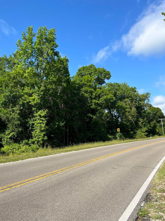 1081 Doctor Martin Luther King Junior Memorial Rd, Crawfordville, FL 32327 - photo 2