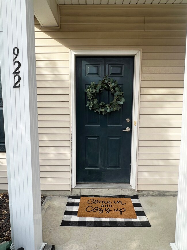 922 Helston Ave, Westfield, IN 46074 - photo 2