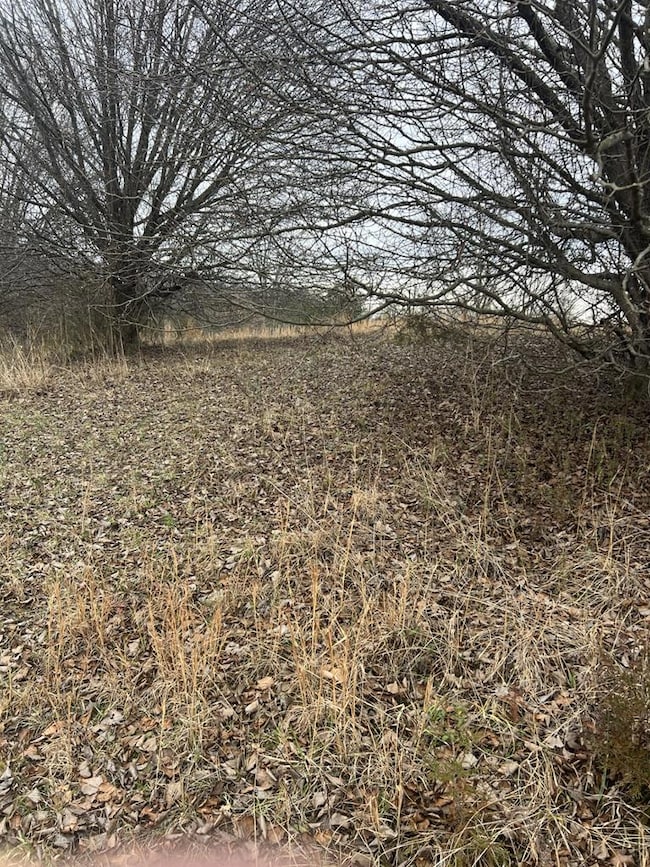 00 Twin Falls Ln, Byrdstown, TN 38549 - photo 4