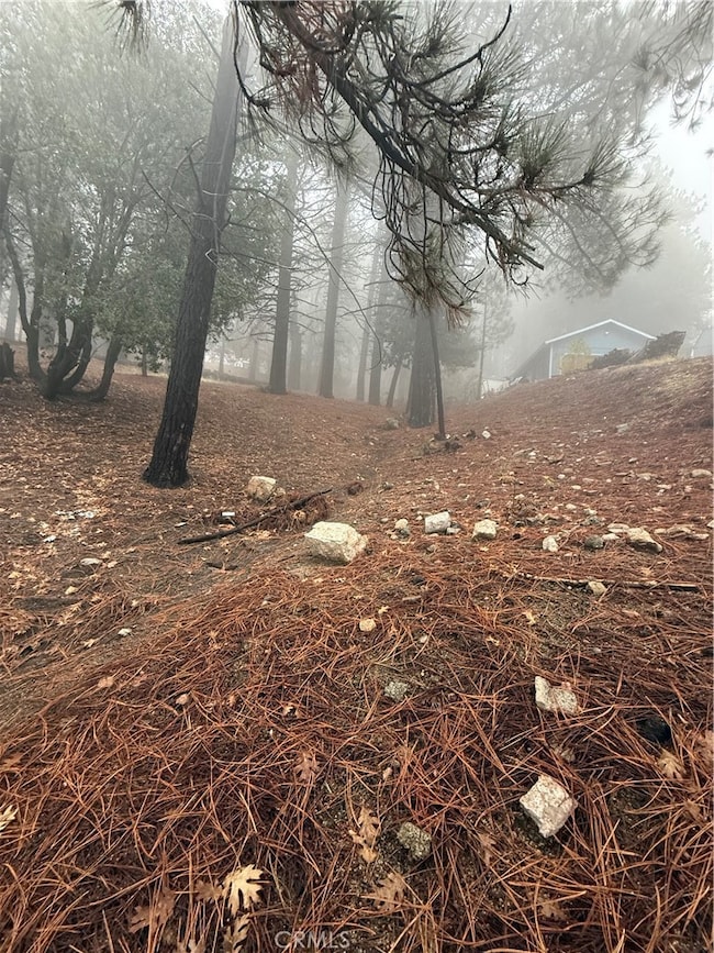 0 Poplar Dr, Running Springs, CA 92382 - photo 6