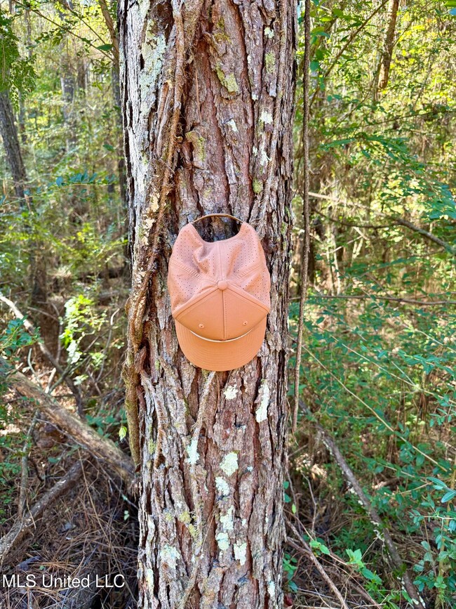 1088 Freeman Rd, Magnolia, MS 39652 - photo 5