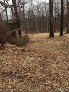 4876 Churchview Rd, Zionsville, PA 18092 - photo 3