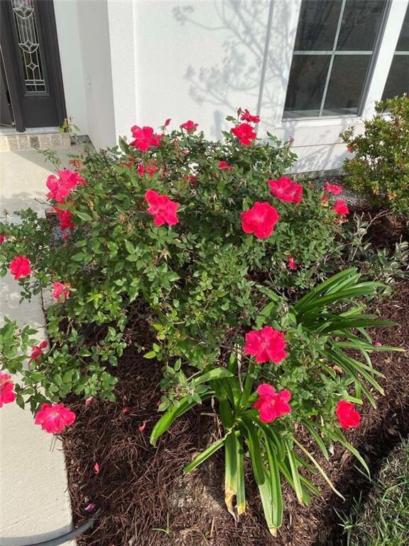 128 Moonlight Cove Ln, Luling, LA 70070 - photo 2