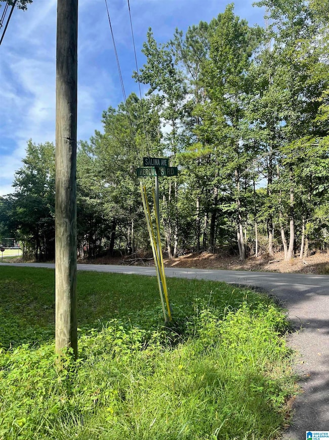 5300 Salina Ave unit 5&6, Bessemer, AL 35022 - photo 3