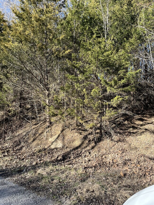 0 Davis Hollow Rd unit RTC2798425, Dowelltown, TN 37059 - photo 2