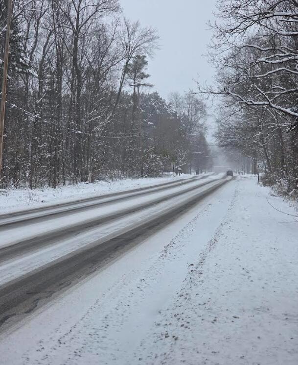 V/L 11th St, Plainwell, MI 49080 - photo 4