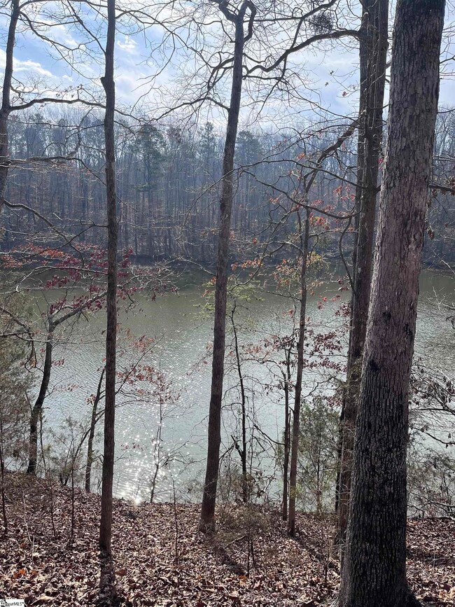 0 Lakeview Dr unit 1519656, Fair Play, SC 29643 - photo 6