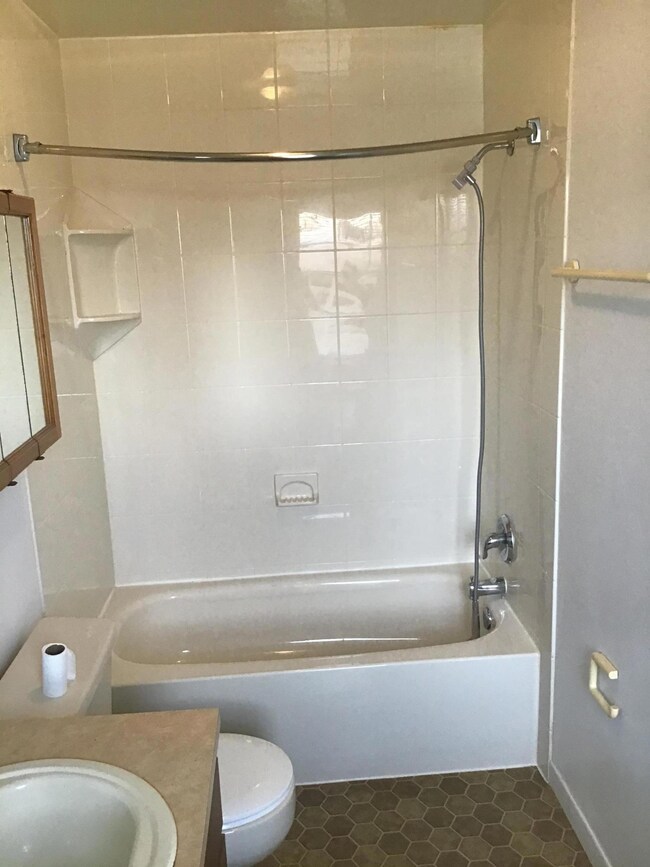 Master tub and shower