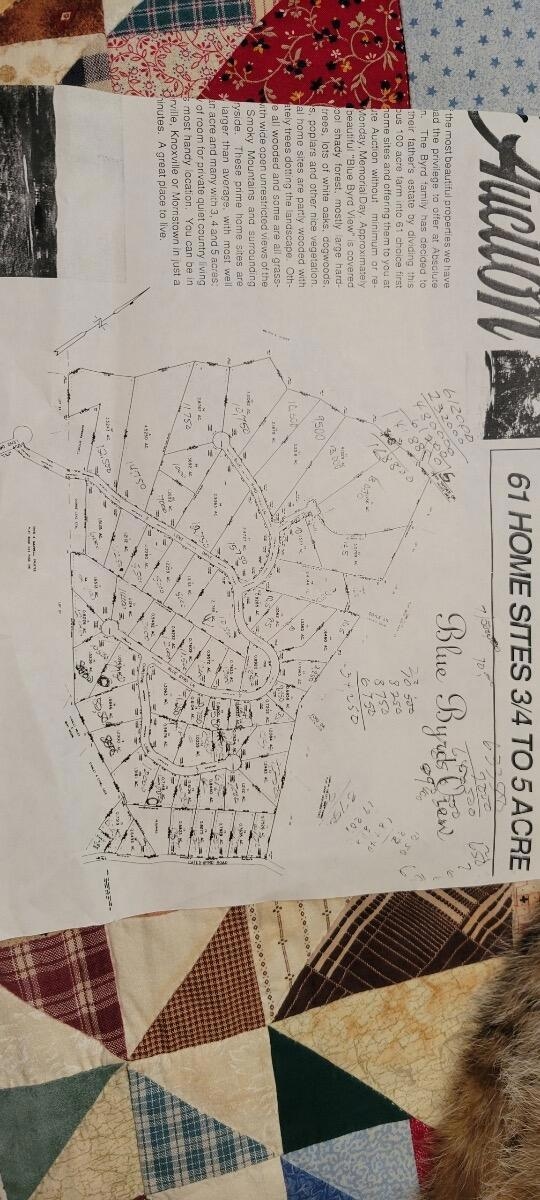 Lot 6 Blue Byrd Ln, Kodak, TN 37764 - photo 2