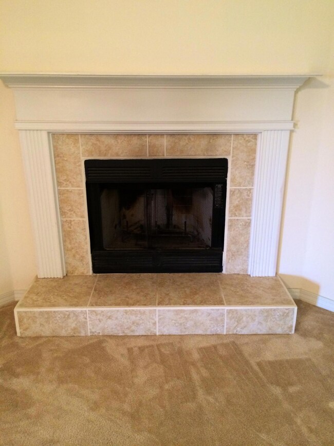 Cozy Fireplace