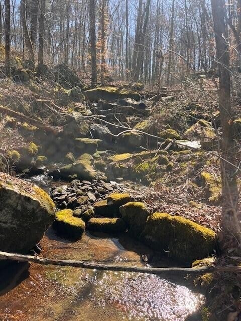 3 Tennessee 150, Sequatchie, TN 37374 - photo 2