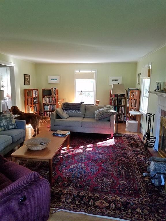 Living room with fireplace