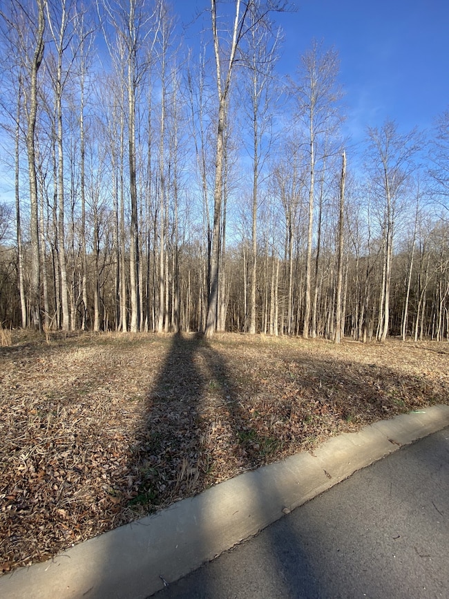 4434 Memory Ln, Adams, TN 37010 - photo 6