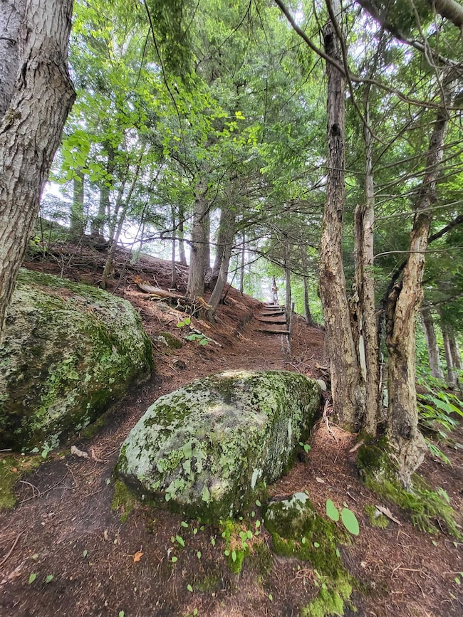 Path to the River
